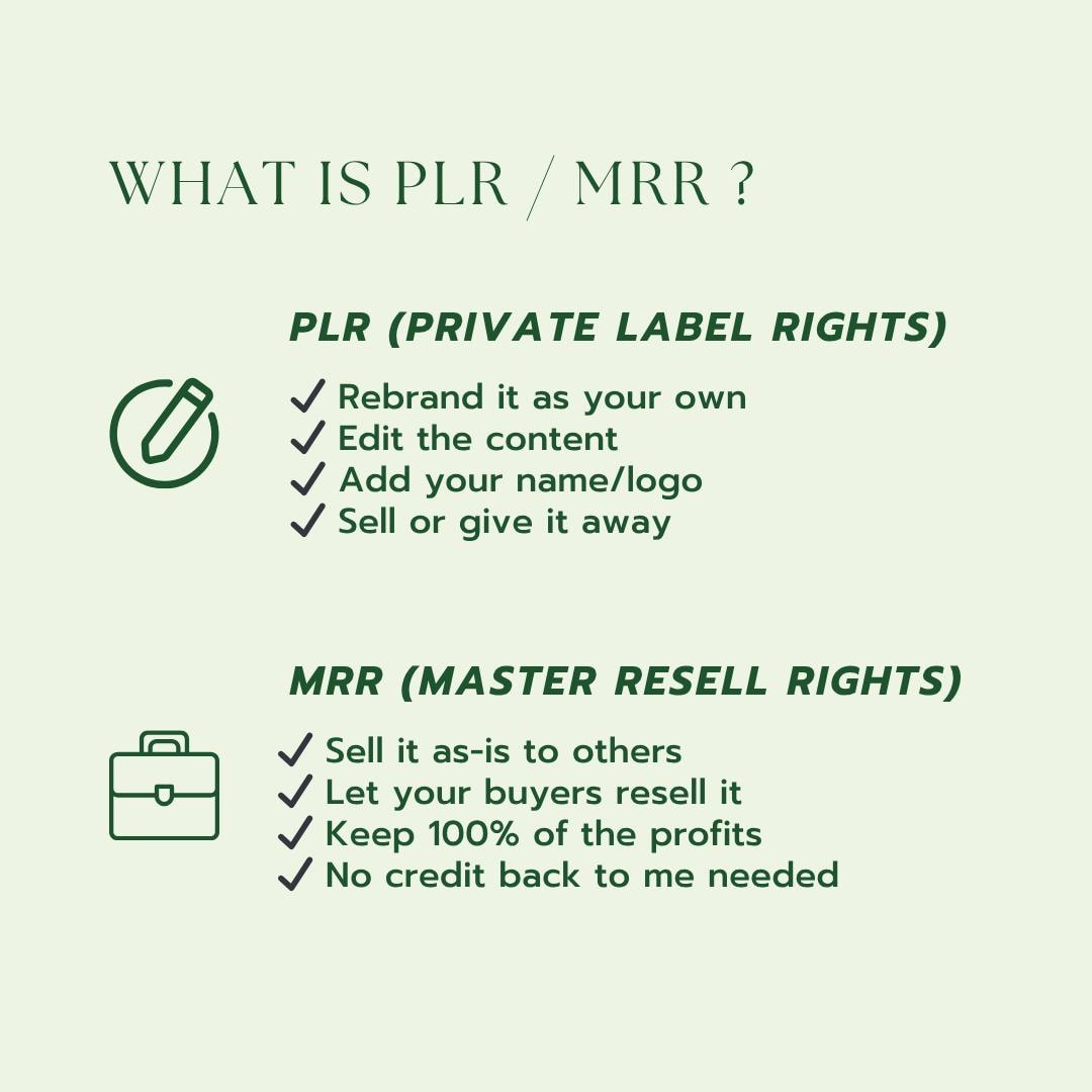 Notion Templates PLR | MRR Business Bundle | Productivity & Finance Tools