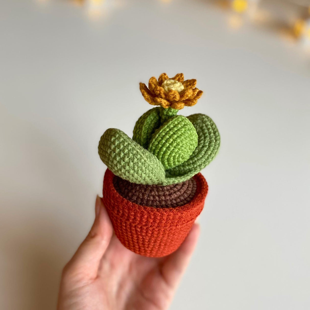 12-in-1 Crochet Succulent Pattern Bundle | 3D Pot Plant PDF