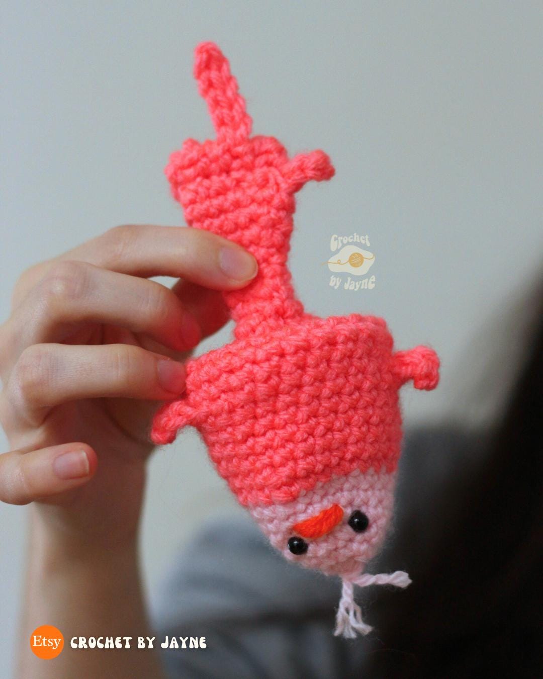 Digital PDF Flip the Bird Reversible Crochet Pattern | No-Sew