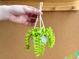Car Hanging Plant Crochet Pattern | Rearview Mirror Succulent