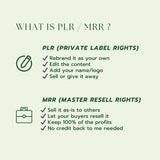 Notion Templates PLR | MRR Business Bundle | Productivity & Finance Tools