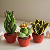 12-in-1 Crochet Succulent Pattern Bundle | 3D Pot Plant PDF
