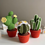 12-in-1 Crochet Succulent Pattern Bundle | 3D Pot Plant PDF
