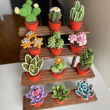12-in-1 Crochet Succulent Pattern Bundle | 3D Pot Plant PDF