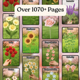 1500+ Flower Crochet Pattern Bundle | Whole Shop Amigurumi & Video